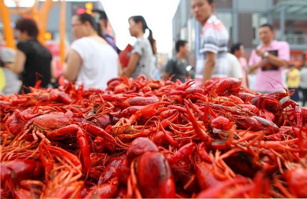 �������ս�����̳- ��Ȩ���Ĳ��˵�����