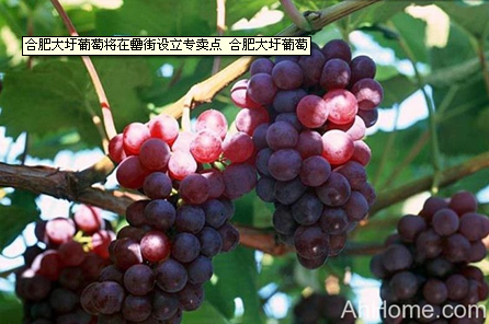 �������ս�����̳- ��Ȩ���Ĳ��˵�����