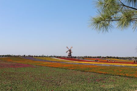 �������ս�����̳- ��Ȩ���Ĳ��˵�����