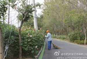 �������ս�����̳- ��Ȩ���Ĳ��˵�����