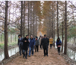 �������ս�����̳- ��Ȩ���Ĳ��˵�����