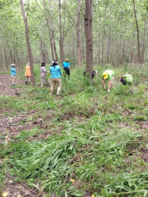 �������ս�����̳- ��Ȩ���Ĳ��˵�����