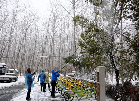 �������ս�����̳- ��Ȩ���Ĳ��˵�����