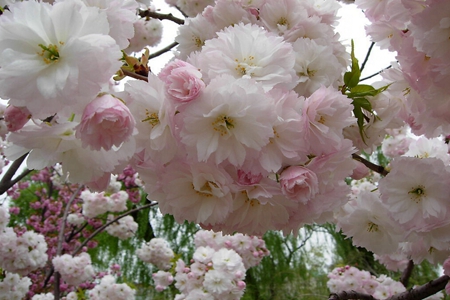 菠菜手艺交流论坛- 最权威的菠菜导航网
