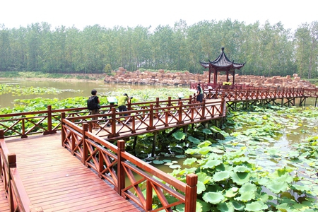 �������ս�����̳- ��Ȩ���Ĳ��˵�����