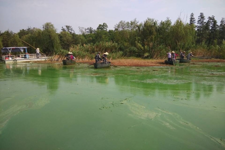 �������ս�����̳- ��Ȩ���Ĳ��˵�����