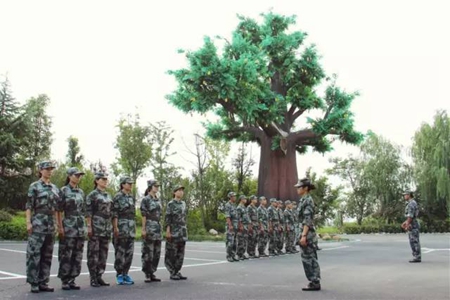 �������ս�����̳- ��Ȩ���Ĳ��˵�����