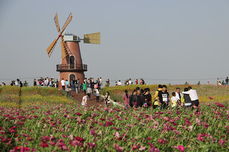 �������ս�����̳- ��Ȩ���Ĳ��˵�����