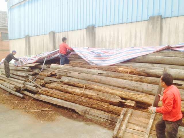 �������ս�����̳- ��Ȩ���Ĳ��˵�����