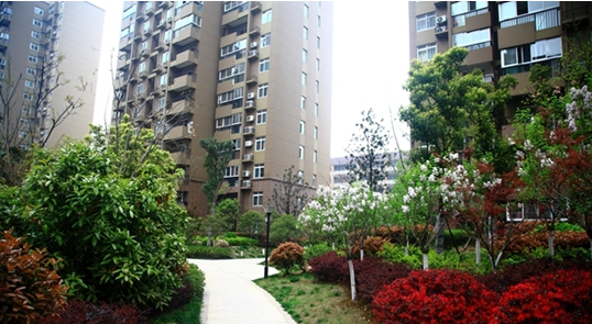 �������ս�����̳- ��Ȩ���Ĳ��˵�����