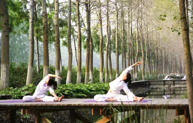 �������ս�����̳- ��Ȩ���Ĳ��˵�����