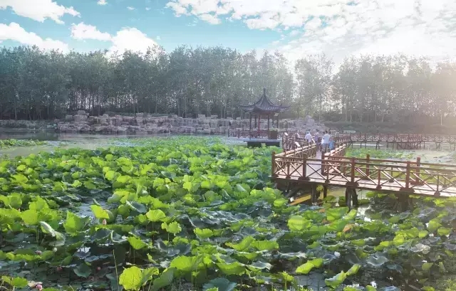 �������ս�����̳- ��Ȩ���Ĳ��˵�����