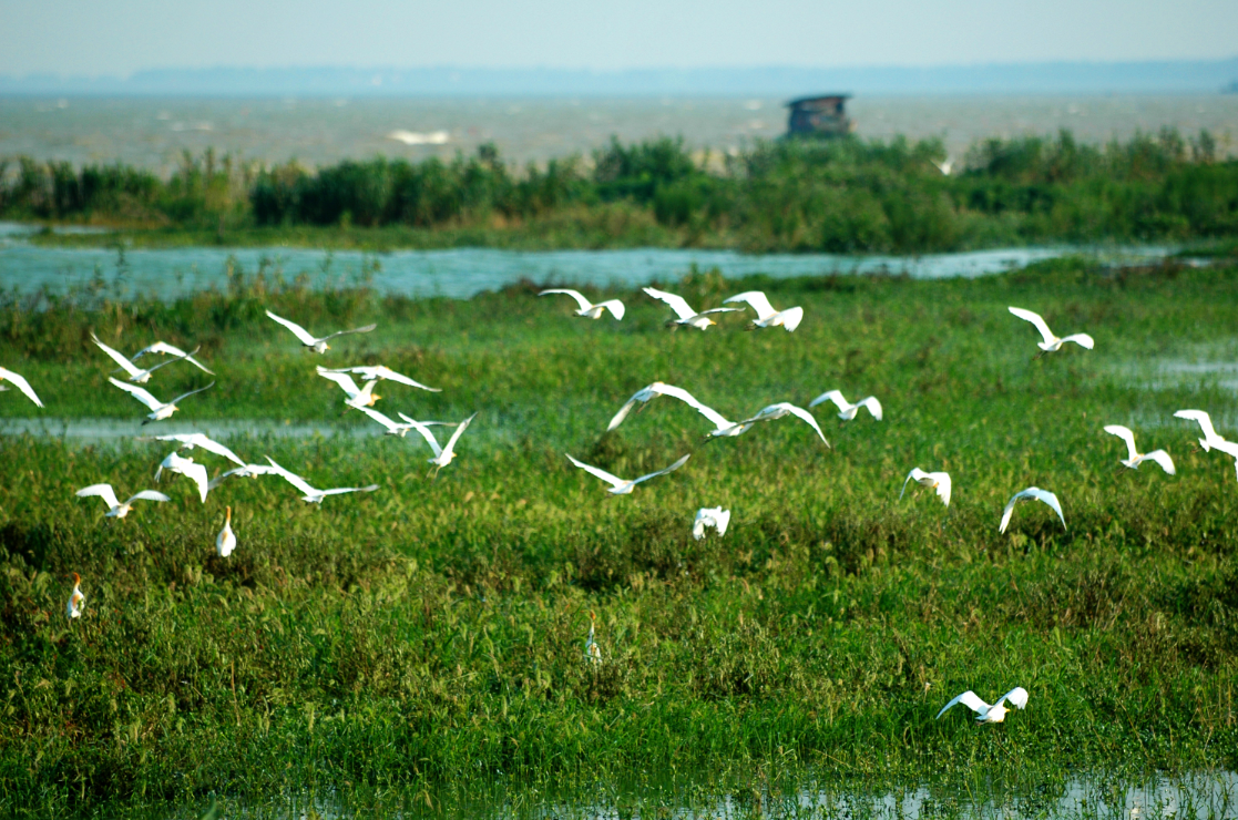 �������ս�����̳- ��Ȩ���Ĳ��˵�����