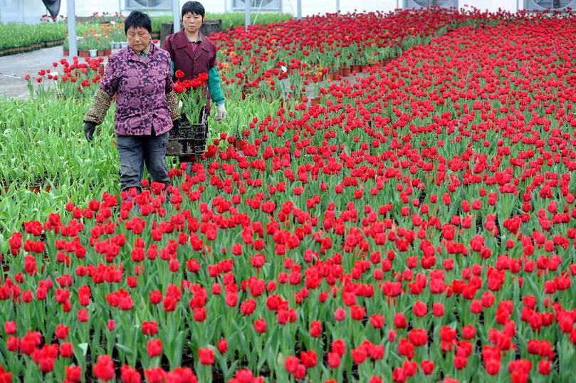 �������ս�����̳- ��Ȩ���Ĳ��˵�����