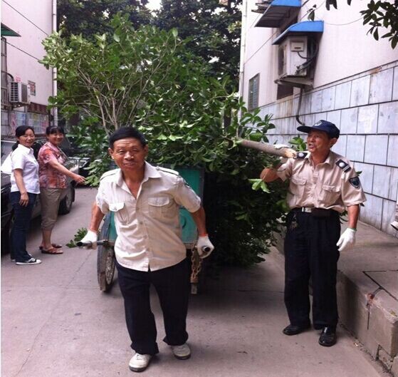 �������ս�����̳- ��Ȩ���Ĳ��˵�����