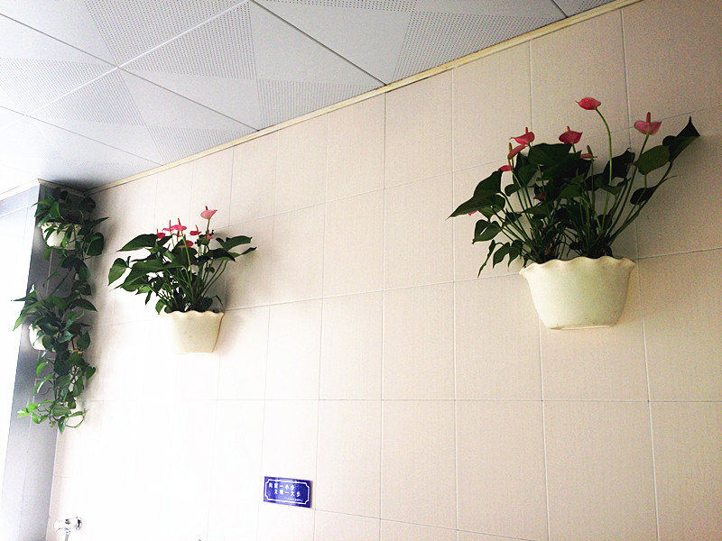 �������ս�����̳- ��Ȩ���Ĳ��˵�����