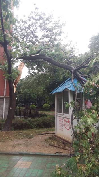 �������ս�����̳- ��Ȩ���Ĳ��˵�����