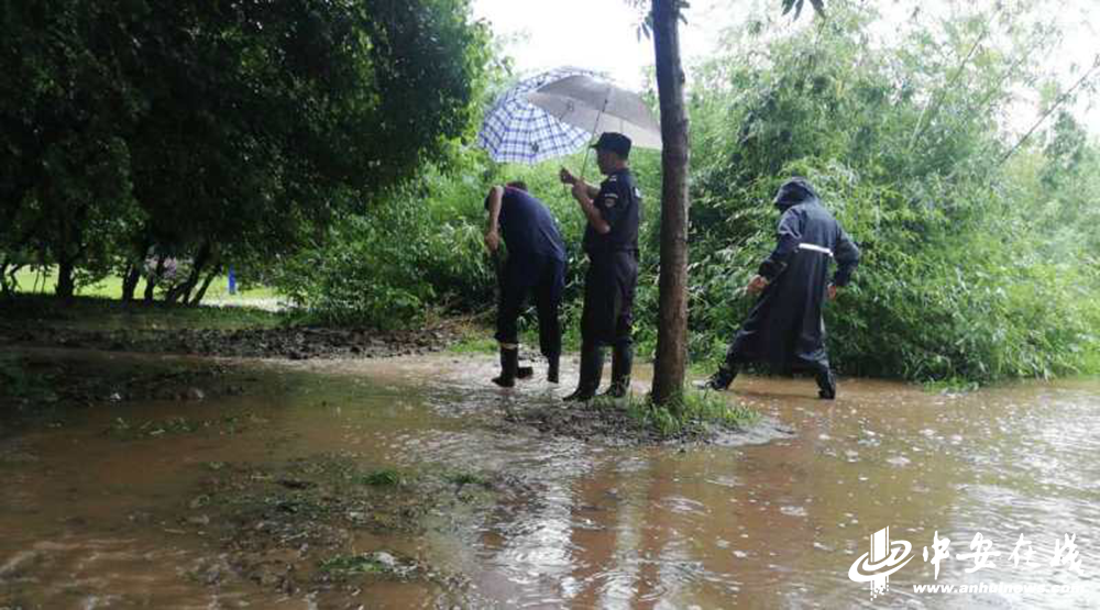 �������ս�����̳- ��Ȩ���Ĳ��˵�����