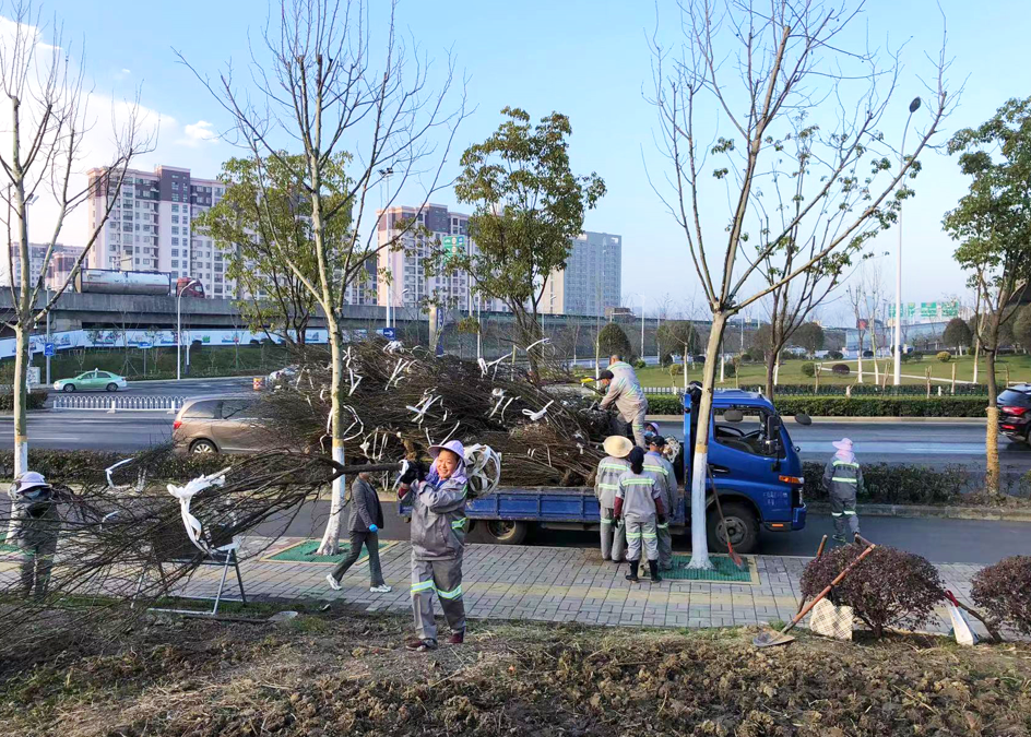 �������ս�����̳- ��Ȩ���Ĳ��˵�����