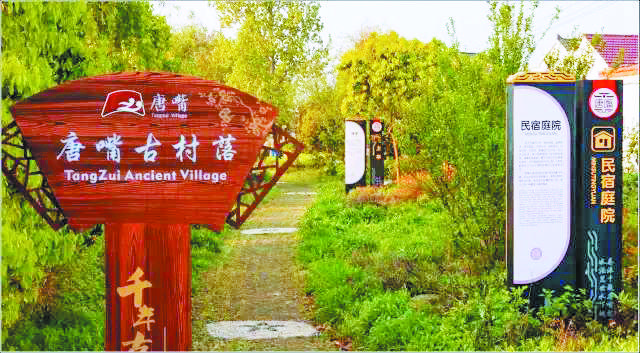 �������ս�����̳- ��Ȩ���Ĳ��˵�����