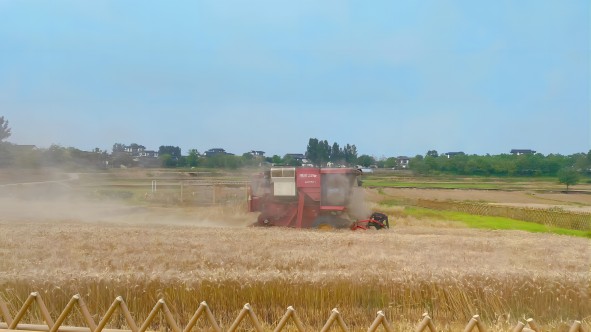 �������ս�����̳- ��Ȩ���Ĳ��˵�����