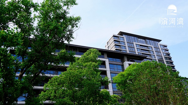 �������ս�����̳- ��Ȩ���Ĳ��˵�����