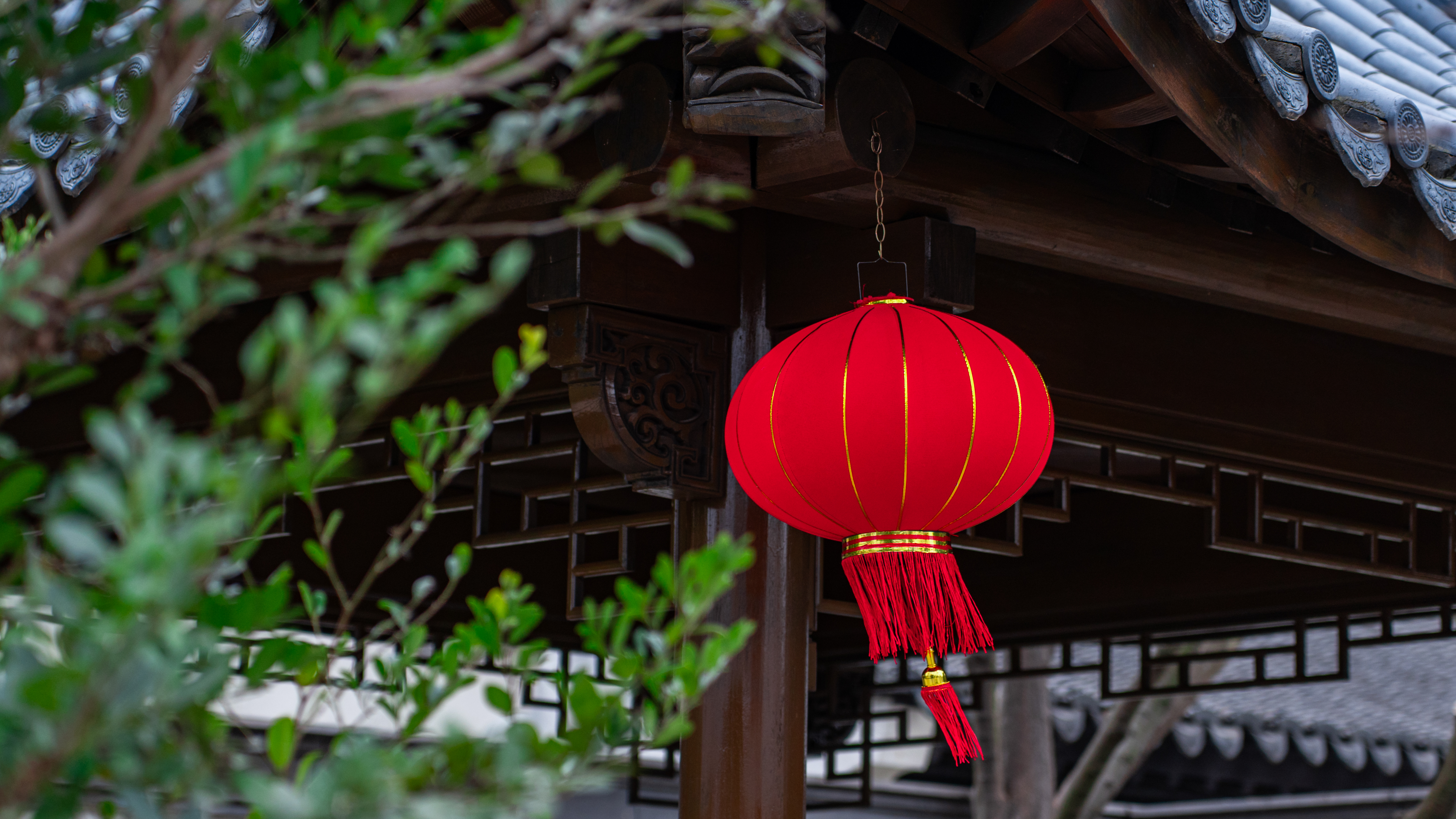 �������ս�����̳- ��Ȩ���Ĳ��˵�����